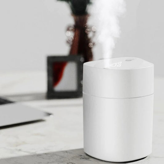 Portable Humidifier